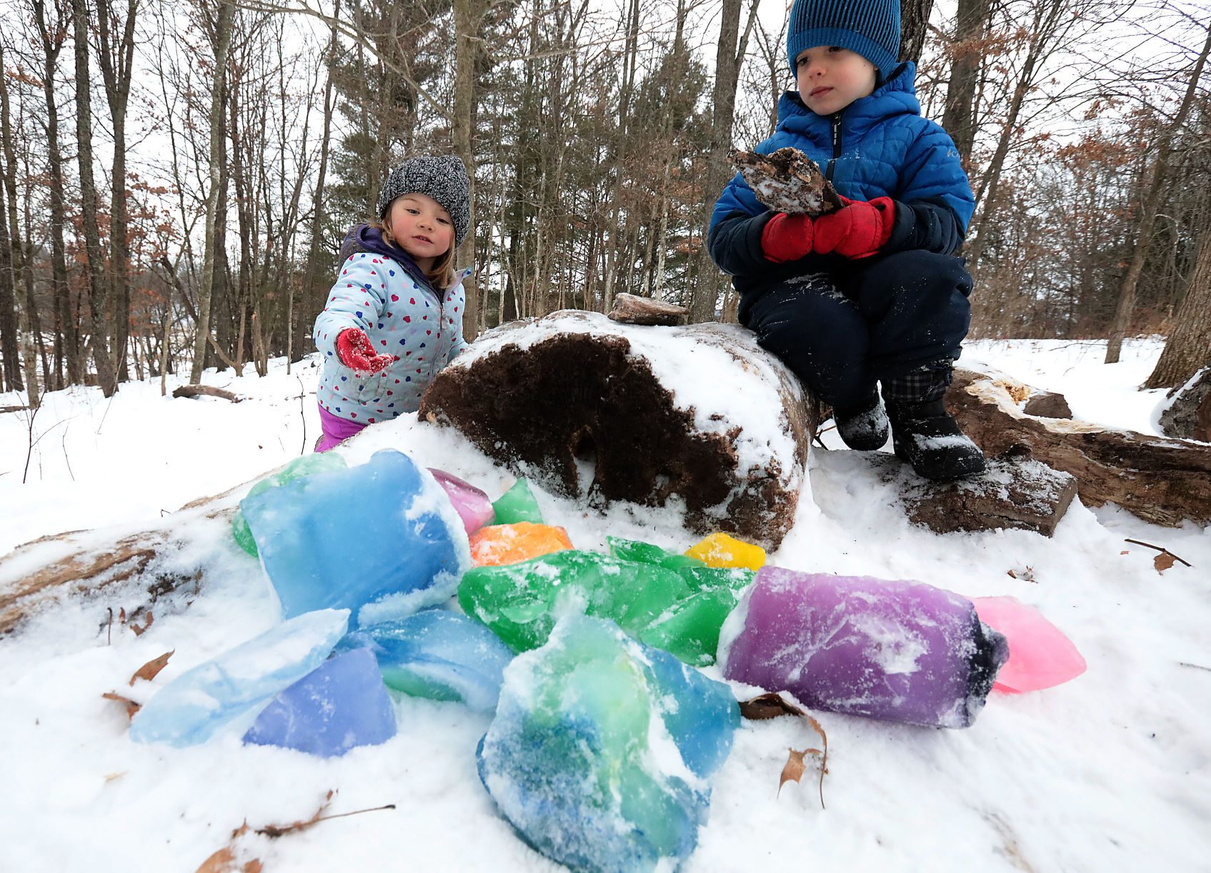 Forest School 17-01142022203609